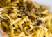 La buona tavola di Perugia